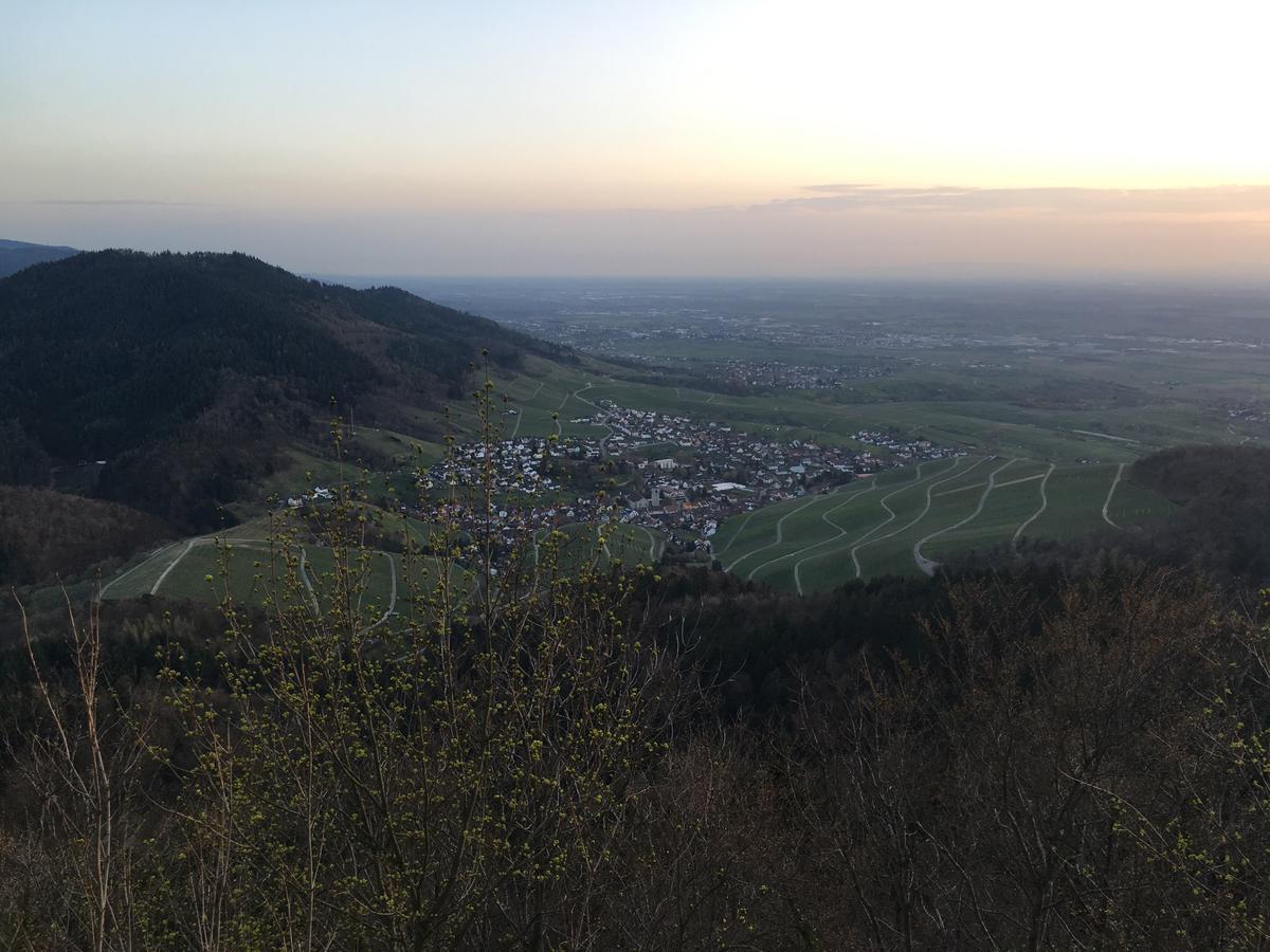 Hotel Roederhof Baden-Baden Zewnętrze zdjęcie